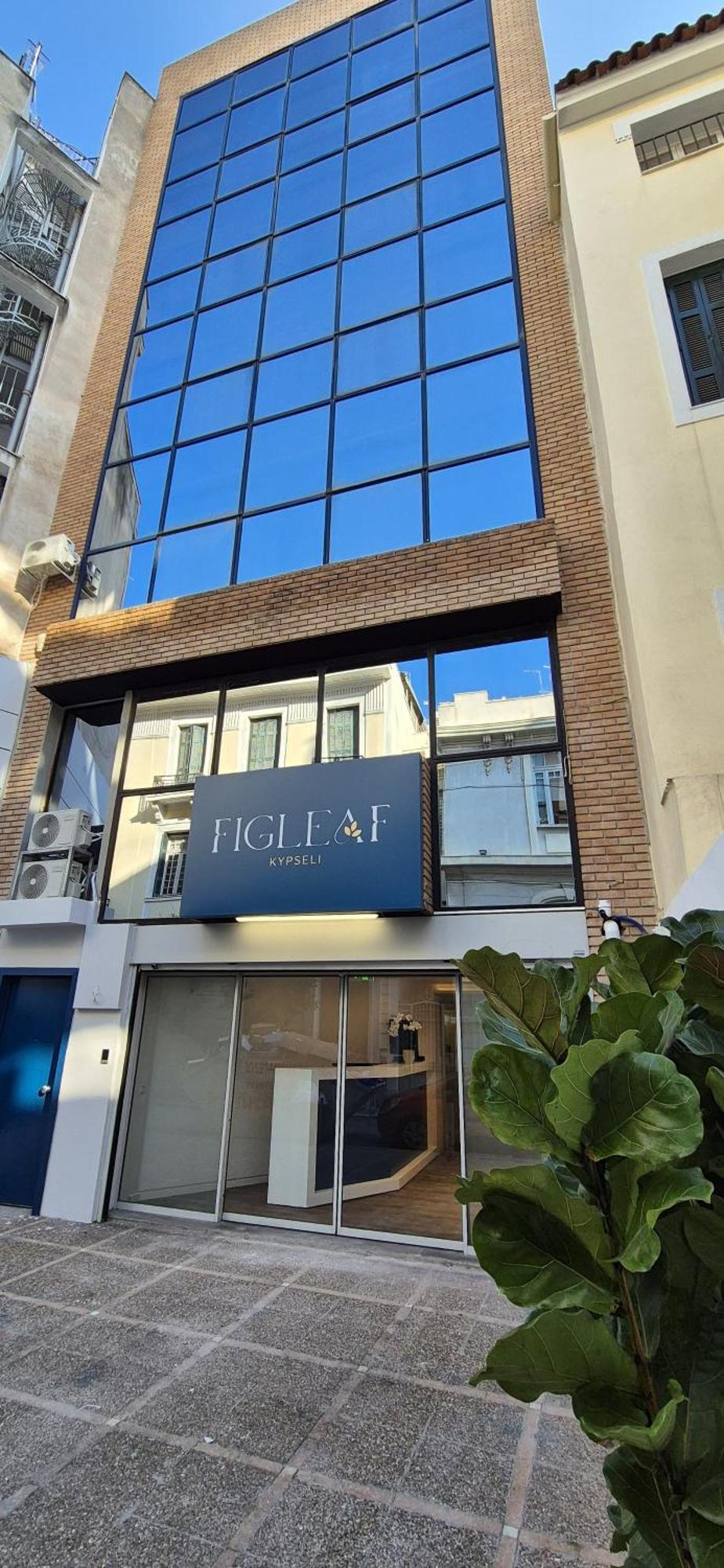 ホテル Figleaf Kypseli アテネ エクステリア 写真